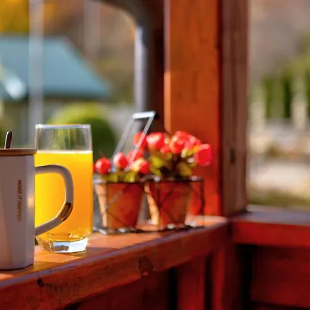 Valley Forest Resorts Lodge